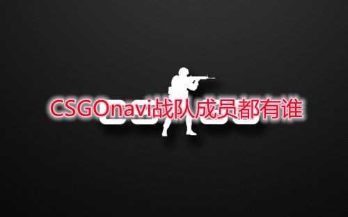 CSGO navi战队成员名单一览_http://www.chuanqi2006.com_游戏攻略_第1张