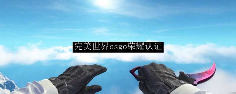 完美世界csgo荣耀认证流程_http://www.chuanqi2006.com_游戏攻略_第1张