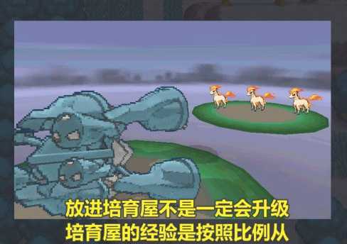 pokemmo老奶奶价格_http://www.chuanqi2006.com_游戏攻略_第5张